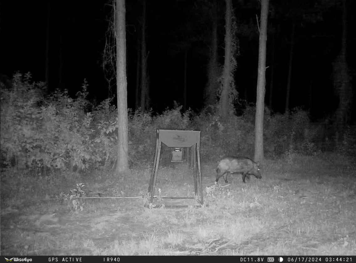 WiseEye NO-Glo.  Sportsman Discount calculated at check out.🦌