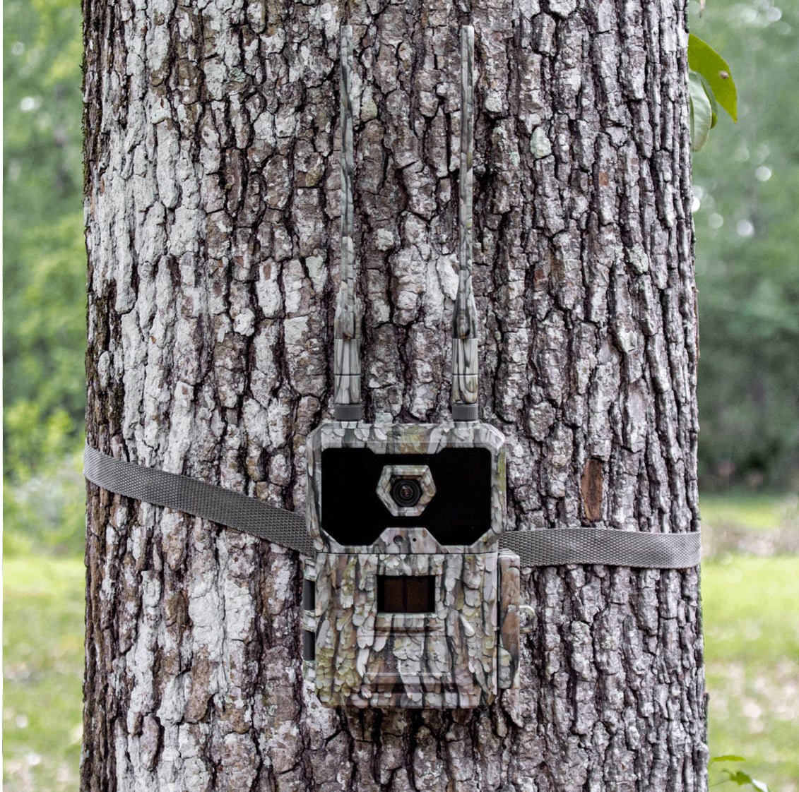 WiseEye DC2 X 6 Bundle. Sportsman Discount Calculated at check out.